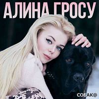 Алина Гросу - Собака