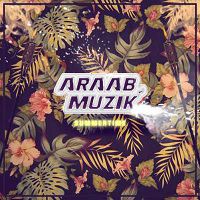 AraabMuzik - Summer Time (Lana Del Rey Remix)