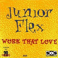 Junior Flex feat. Linda Rice - Work That Love