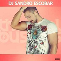 DJ Sandro Escobar - Вова, я просто танцую голой