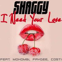 Shaggy feat. Mohombi, Faydee & Costi - I Need Your Love