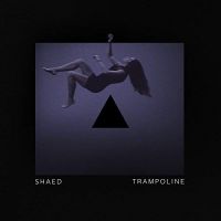 SHAED - Trampoline (Apple MacBook)