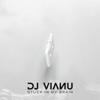DJ Vianu - Stuck in my brain
