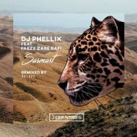DJ Phellix - Sarmast
