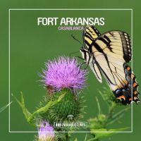 Fort Arkansas - Casablanca
