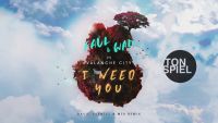 Faul & Wad vs. Avalanche City - I Need You (David Puentez & MTS Remix)