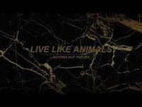 Nothing But Thieves - Live like animals