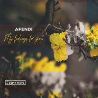 Afendi - My feelings for you