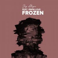 Jay Aliyev feat. Erkin Love - Frozen