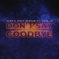 Ilkay Sencan - Dont say goodbye (Vadim Adamov & Hardphol remix)