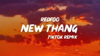 Redfoo - New thang (TikTok remix)