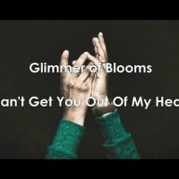 Glimmer of Blooms - Cant get you out of my head 2