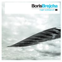 Boris Brejcha - Flying bird